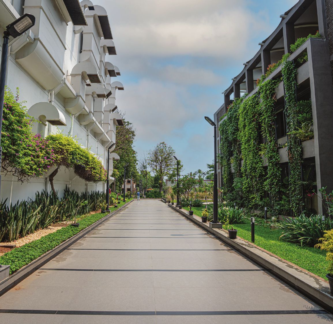 Emerald campus walkway lined with green walls